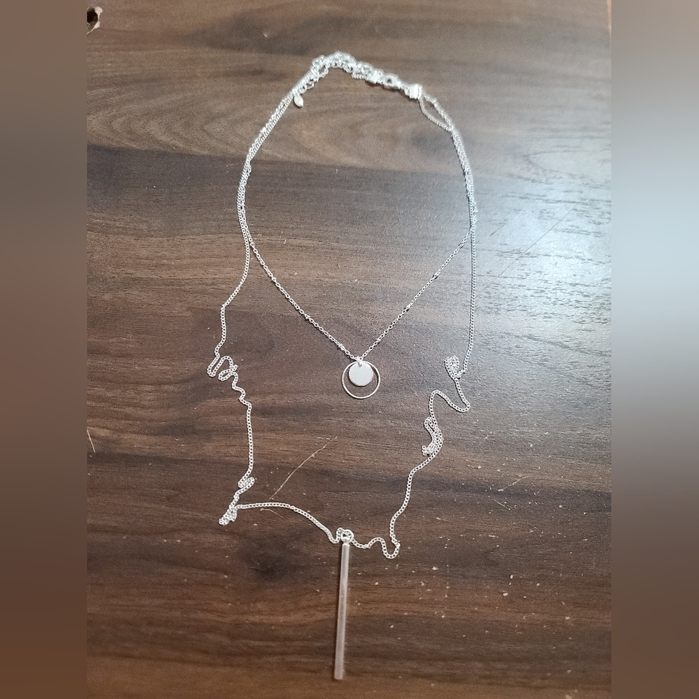 Long Accent Necklace